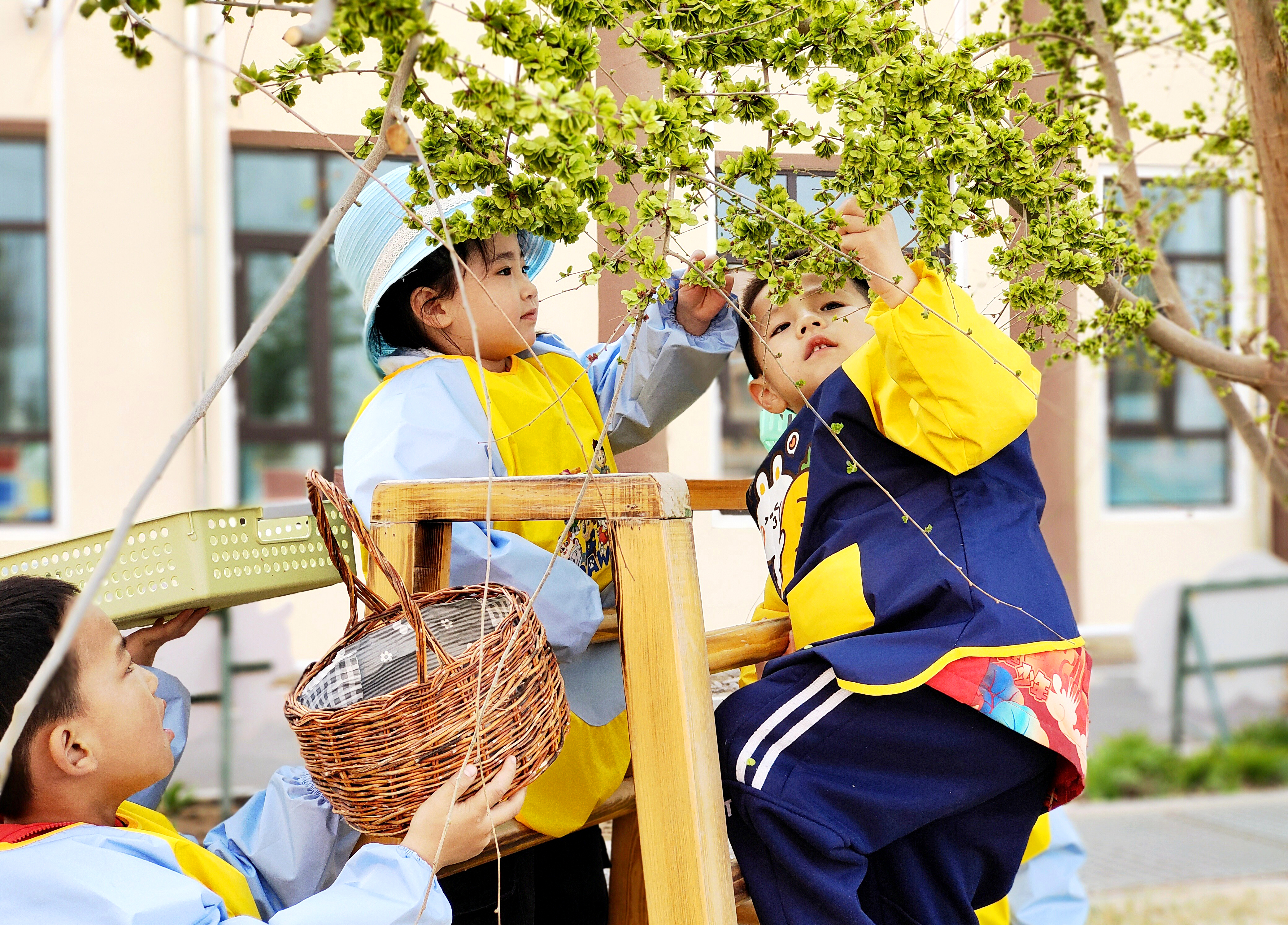 07 孩子們在采摘榆錢。楊海燕 攝.jpg