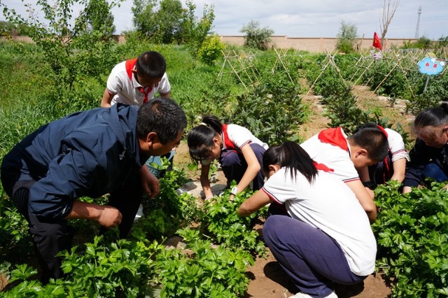 2023071316513765.jpg 2023071316513765.jpg