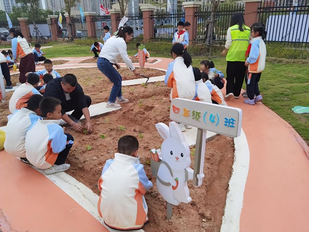 655426bb62276865ee00257d_1024.jpg 655426bb62276865ee00257d_1024.jpg