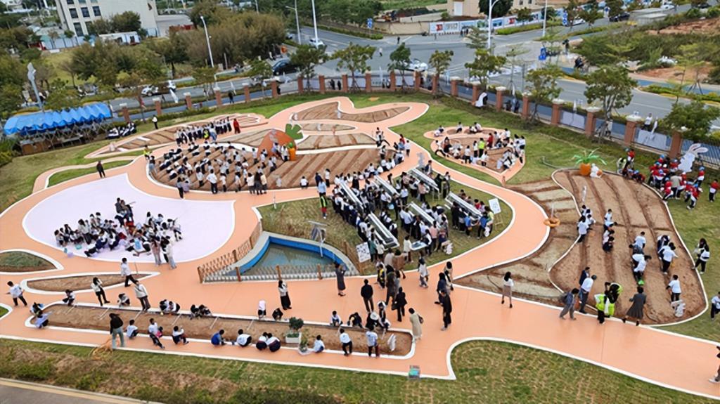 655426bb62276865ee00257e_1024.jpg 655426bb62276865ee00257e_1024.jpg