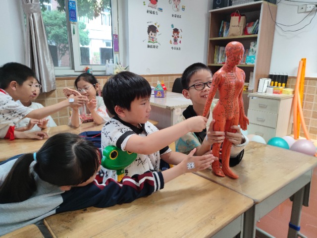 寧波市鎮(zhèn)安小學(xué)學(xué)生體驗“尋穴位” 學(xué)校供圖.jpg 寧波市鎮(zhèn)安小學(xué)學(xué)生體驗“尋穴位” 學(xué)校供圖.jpg