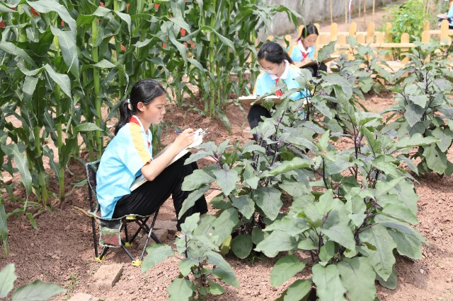 2024051717159339257155925.jpg 2024051717159339257155925.jpg