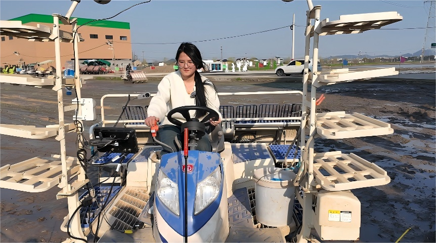 浙江工商職院學(xué)生蔣鈺欣操作插秧機(jī) 學(xué)校供圖.png