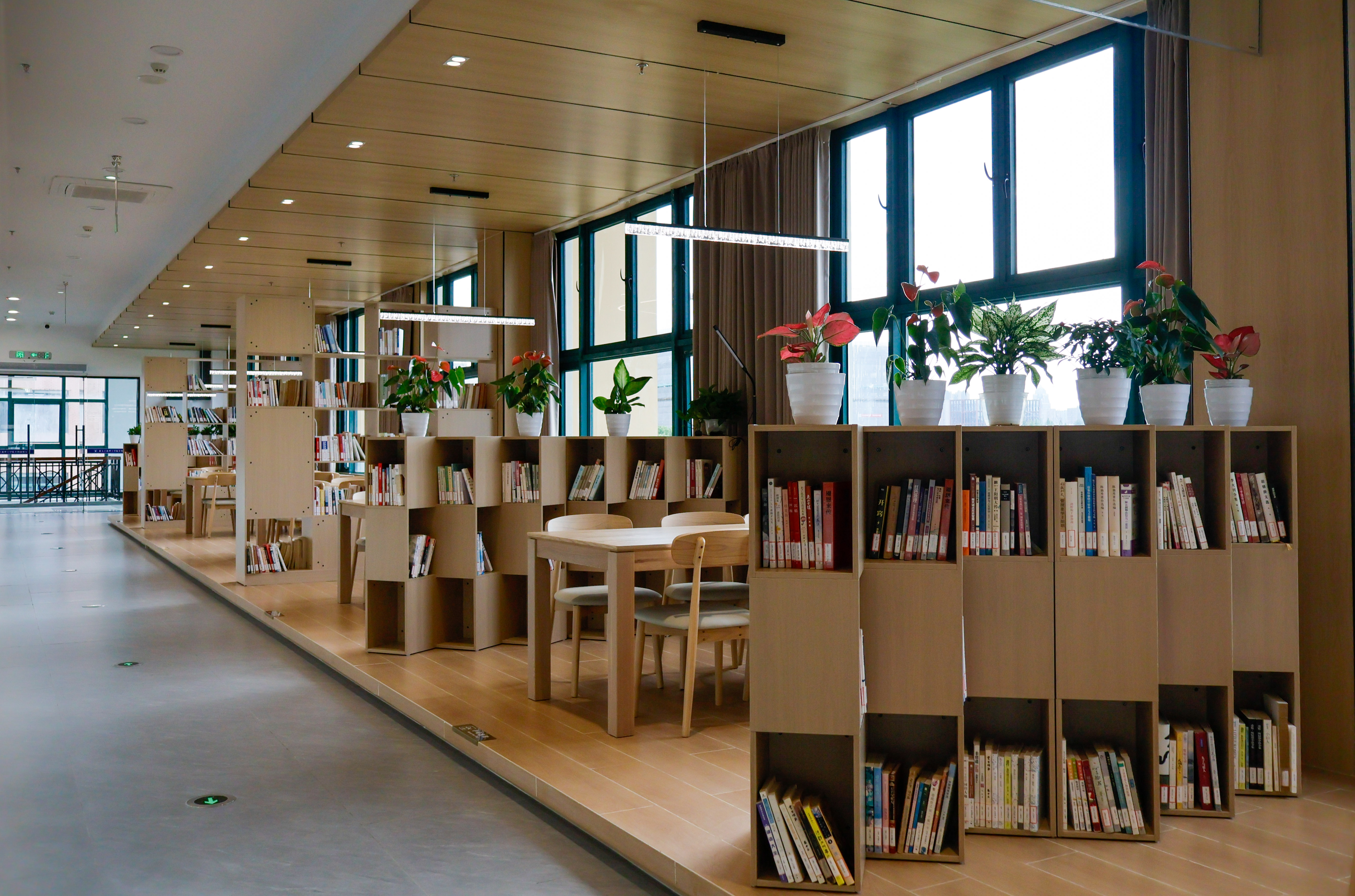 浙大寧波理工學(xué)院在食堂設(shè)置“知識能量站” 學(xué)校供圖.jpg